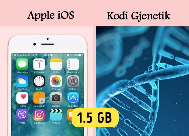 Apple iOS VS Kodi Gjenetik