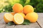 Lngu i Limonit duhet t konsumohet patjetr sepse sjell shum te mira n shndet.