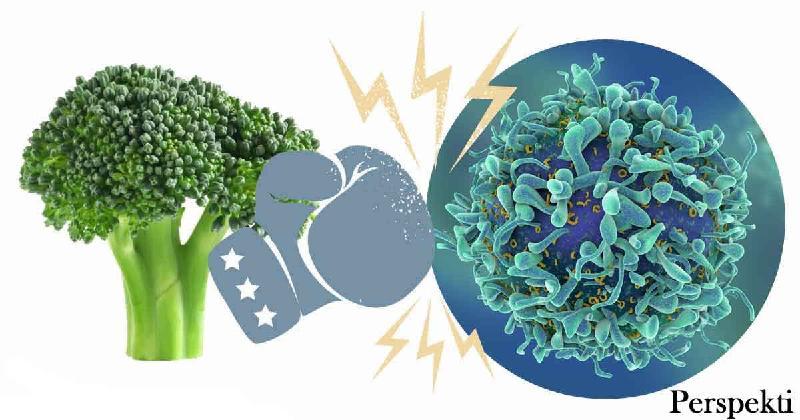 Brokoli sht ndr ushqimet kryesore q ndihmon organizmin tuaj